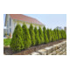 Kit de démarrage du système Micro-Drip GARDENA Lignes de plantation M Goutteur hors-sol-2