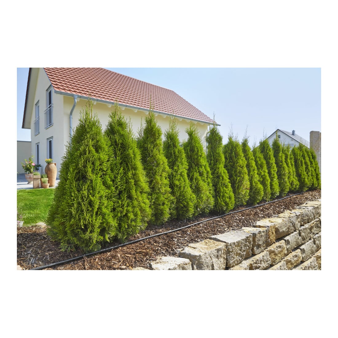 Kit de démarrage du système Micro-Drip GARDENA Lignes de plantation M Goutteur hors-sol