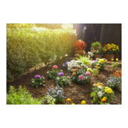 Kit de démarrage du système Micro-Drip GARDENA Lignes de plantation S Goutteur hors-sol-2