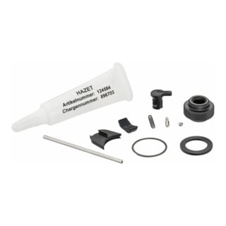 Kit de pièces de rechange pour roue à rochet pour embouts Hazet 863HPB/11