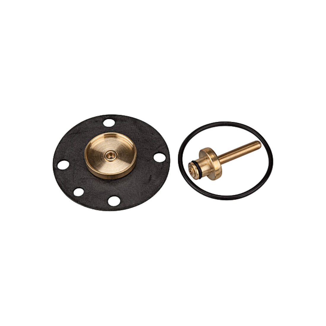 Kit de pièces d'usure RIEGLER pour régulateur de filtre standard BG 1