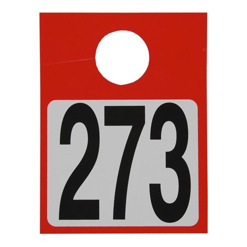 Kit de porte-clés Eichner numérotés 1-300, vert