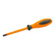 Klein Tools Tournevis VDE Torx T30 100 mm