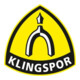 Klingspor Schleifmoprad WSM 617, LxB 125X20, Korn 40-3