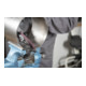 Klingspor Vliesband NBF 800, LxB 30X610, F4W, violett-5