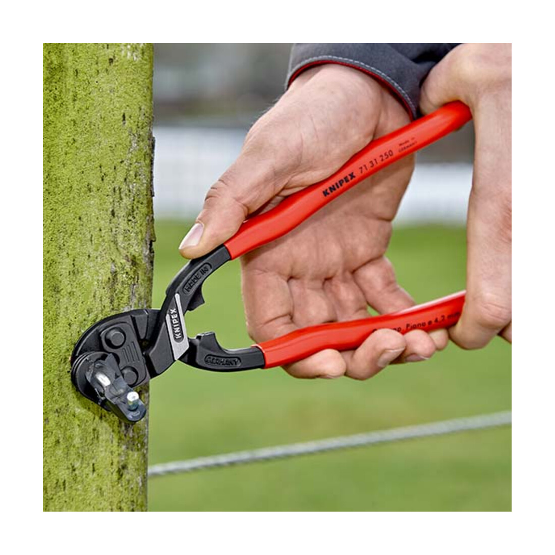 KNIPEX 71 31 250 CoBolt® XL compacte boutensnijder zwart geatramenteerd 250 mm