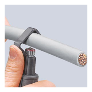 product.name