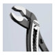 KNIPEX Alligator®, Pinces multiprises Knipex