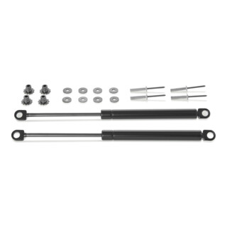 KNIPEX Vervangende gasdrukveren 00 21 99 V33 voor 00 21 37 (2x)