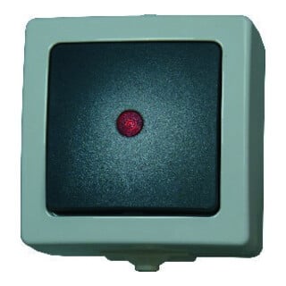 Kopp Kontrollschalter AP/FR Nautic grau