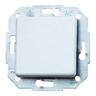 Kopp Taster 10 AX, 250 V EUROPA, arktis