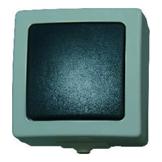Kopp Taster FR/AP, Nautic grau