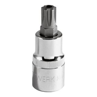 Kraftwerk 1/2" Loch-RIBE-Bit-Stecknuss M5