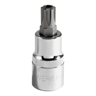 Kraftwerk 1/2" Loch-RIBE-Bit-Stecknuss M8