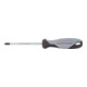 Kraftwerk BASIC LINE Schraubendreher PH PH2 x 100 mm-1