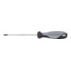Kraftwerk BASIC LINE Schraubendreher TX T20 x 100 mm-1