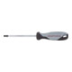 Kraftwerk BASIC LINE Schraubendreher TX T27 x 100 mm-1