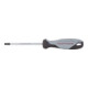 Kraftwerk BASIC LINE Schraubendreher TX T30 x 100 mm-1