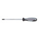 Kraftwerk BASIC LINE Schraubendreher TX T40 x 150 mm-1