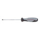 Kraftwerk BASIC LINE Tournevis à fente 4,0 x 100 mm-1