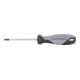 Kraftwerk BASIC LINE Tournevis TX T15 x 75 mm-1