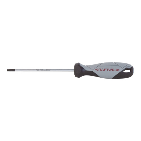 Kraftwerk BASIC LINE Tournevis TX T20 x 100 mm
