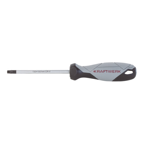 Kraftwerk BASIC LINE Tournevis TX T30 x 100 mm