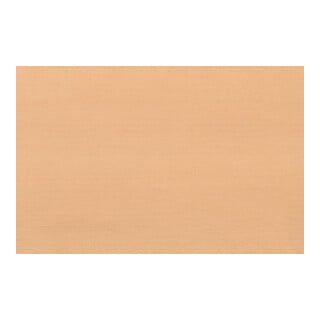 Kraftwerk Bois Top pour Chariot d'Atelier BT700