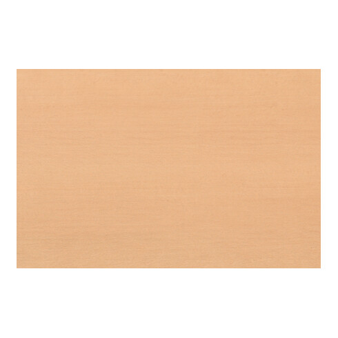 Kraftwerk Bois Top pour Chariot d'Atelier BT700