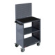Kraftwerk Chariot de service BT700 avec tapis en caoutchouc-5
