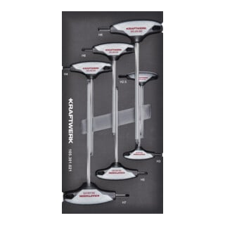 Kraftwerk T-Griff clé hexagonale boule 7 pièces 20x40 insert