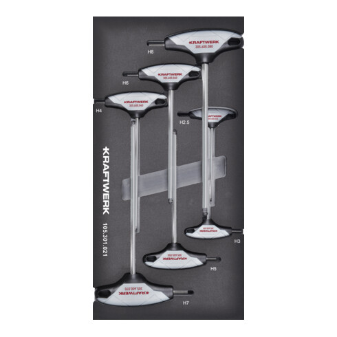 Kraftwerk T-Griff clé hexagonale boule 7 pièces 20x40 insert