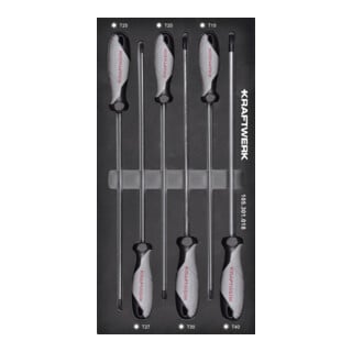 Kraftwerk Tournevis Lange TX 6-pièces 20x40 Insert
