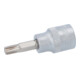 KS Tools 3/8 Zoll Bit-Stecknuss für RIBE-Schrauben-2