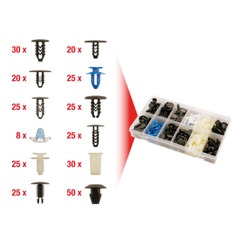 KS Tools bevestigingsklemmen set voor Fiat, 308-delig