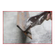 KS Tools Breitmaul-Flachbacken-Gripzange mit Easy-Release-4