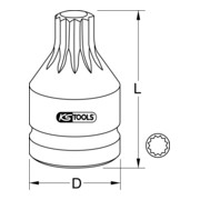 KS Tools Bussola per bit XZN 1/2"-2