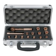 KS Tools Coffret de douilles BERYLLIUMplus 1/4" 15 pcs.