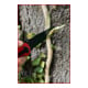 KS Tools Klappmesser mit Arretierung und Gurtschneider