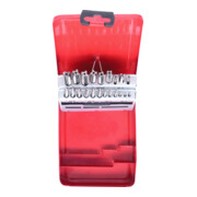 KS Tools Rubinetti manuali M HSS, valigetta in lamiera d'acciaio 21pz.,M3-M12-3
