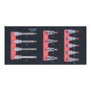 KS Tools SCS CHROMEplus 1/2" Module de douilles, TX percé et XZN, 19 pcs., modules système 1/3-1