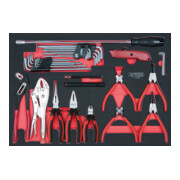 KS Tools SCS Module de clés mâles coudées et de pinces, 36pcs., modules système 1/1-1