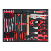 KS Tools SCS Module d’outils de frappe, limes et pinces, 21 pcs. modules système 1/1-1