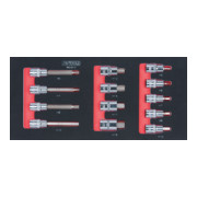 KS Tools Set di bussole per bit SCS CHROMEplus 1/2", 13pz. in modulo 1/3-1