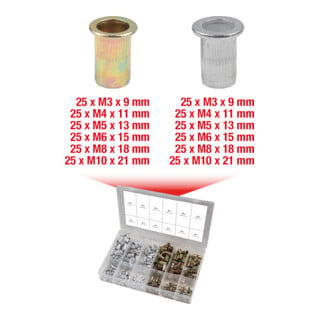 KS Tools Sortiment Gewindenieten, Stahl und Aluminium, M3x9mm-M10x21mm, 300-teilig