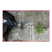 KS Tools staalborstel schijf 0.3mm-5