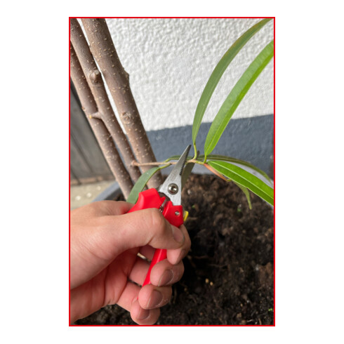 KS Tools Universalschere, verzahnt, 145mm