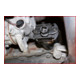 KS Tools universele oliefilter spansleutel 104-150 mm
