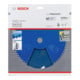 Bosch Lama circolare per sega Expert for Fibre Cement, 250x30x2,4mm 6-3