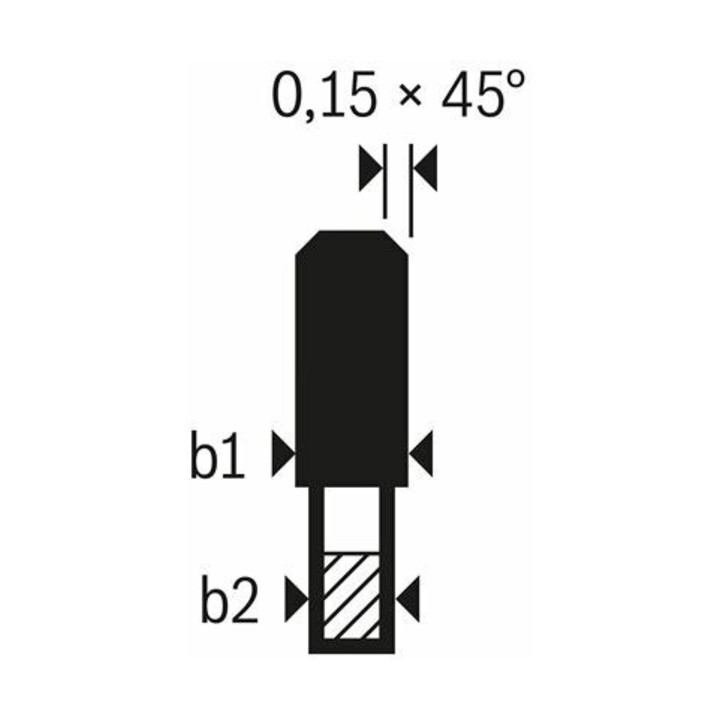 Lame de scie circulaire Bosch Expert pour fibres-ciment 300 x 30 x 2,4 mm 8